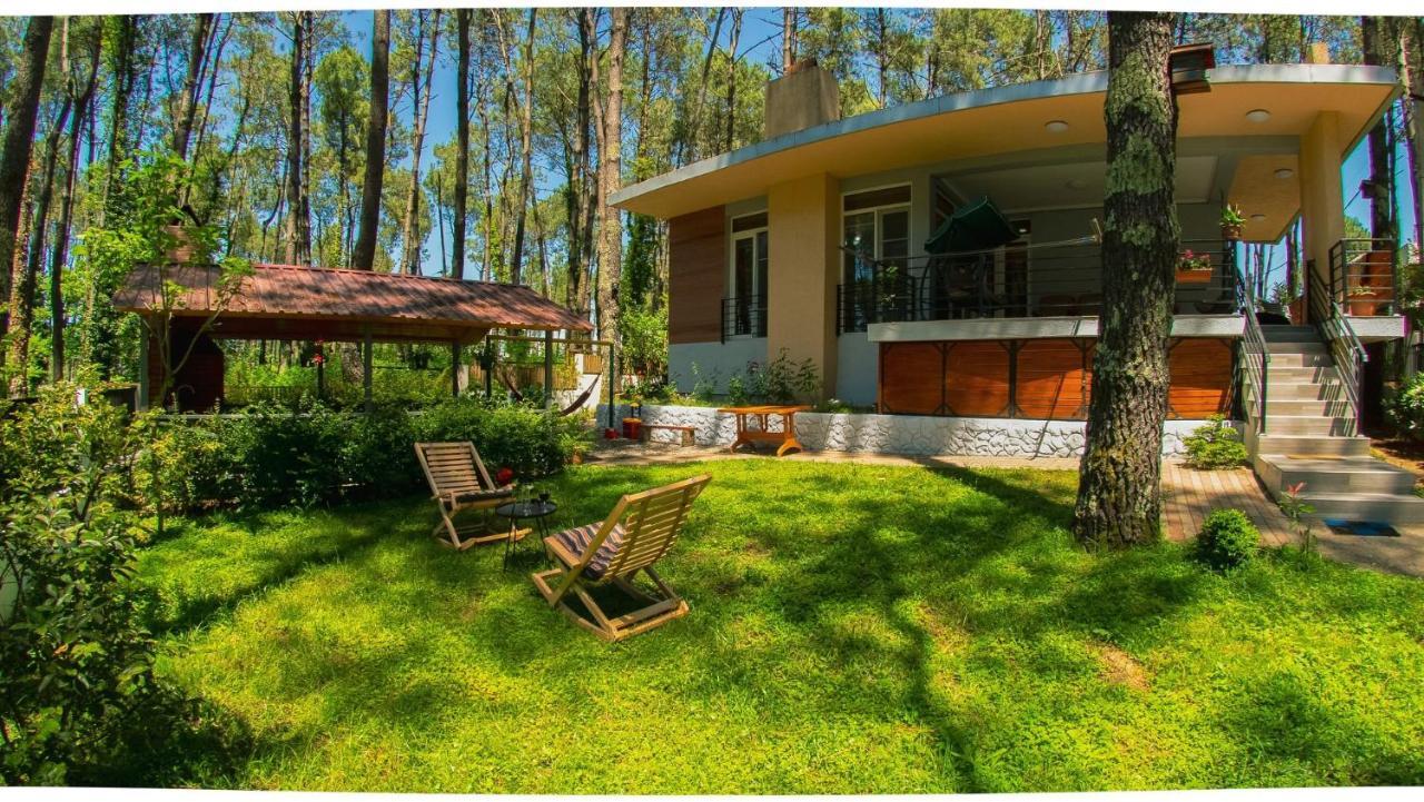 Vila Shekvetili Big Wonder Exteriér fotografie