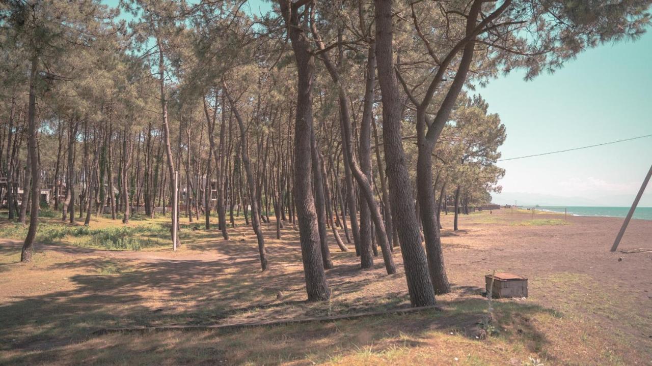 Vila Shekvetili Big Wonder Exteriér fotografie